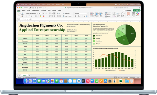 O Microsoft Excel é mostrado em um MacBook Air.