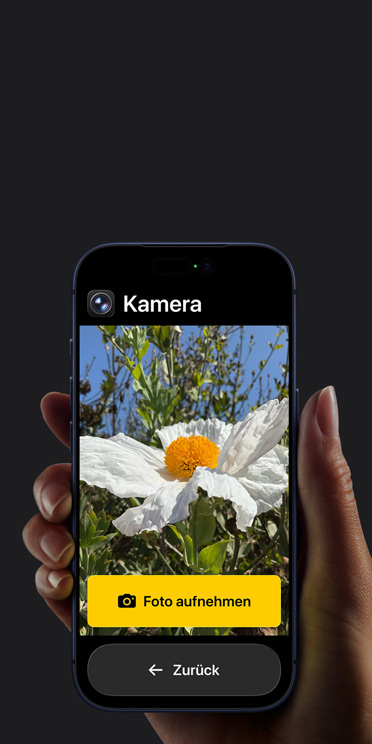 Ein iPhone 17 Pro Bildschirm mit vereinfachter Benutzeroberfläche der Kamera App und einer weißen Blume im Bildausschnitt, darunter die Taste „Foto aufnehmen“ und der Taste „Zurück“