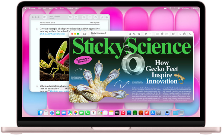 MacBook Neo, blush color, screen shows an article on biomimicry and a quiz on similar subject matter