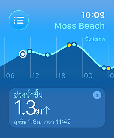 Tides app, metrics: high and low tides, rising and falling tides, line graph estimating times and tide points
