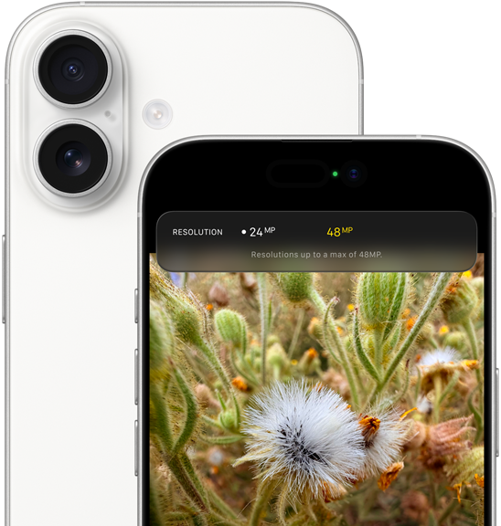 جهاز iPhone 17، الجزء الخلفي الخارجي، زوايا مدورة، نظام كاميرا Fusion المزدوجة في الزاوية العلوية اليسرى، اللون الأبيض، الجزء الأمامي الخارجي، Dynamic Island، زوايا مدورة